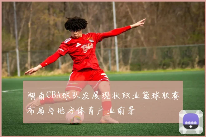 湖南CBA球队发展现状职业篮球联赛布局与地方体育产业前景