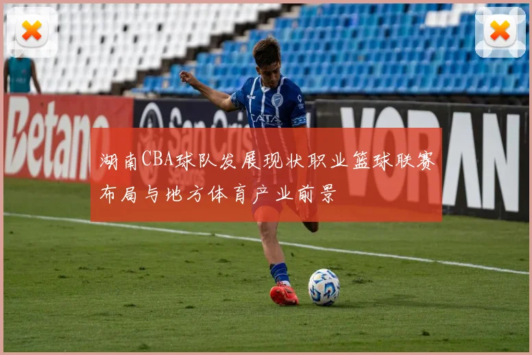 湖南CBA球队发展现状职业篮球联赛布局与地方体育产业前景