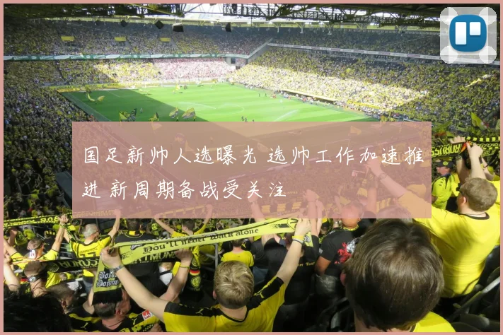 国足新帅人选曝光 选帅工作加速推进 新周期备战受关注