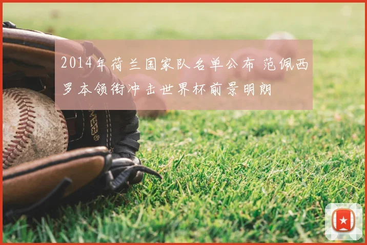 2014年荷兰国家队名单公布 范佩西罗本领衔冲击世界杯前景明朗