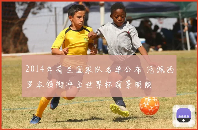 2014年荷兰国家队名单公布 范佩西罗本领衔冲击世界杯前景明朗